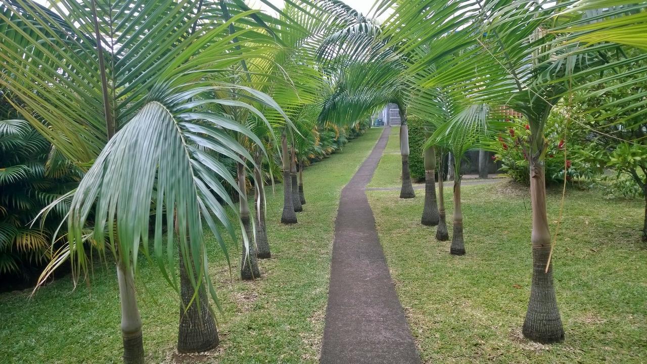 Les Bungalows Du Mont-Auban Sainte-Clotilde Zewnętrze zdjęcie
